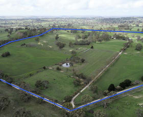 Rural / Farming commercial property sold at 1 Ulooloo Road Flaxman Valley SA 5235