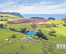 Rural / Farming commercial property sold at 65 Table Cape Road Wynyard TAS 7325