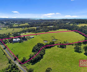 Rural / Farming commercial property sold at 113 Wilfords Lane Milton NSW 2538