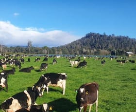 Rural / Farming commercial property sold at 14593 Highland Lakes Road Deloraine TAS 7304