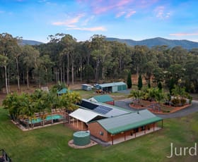 Rural / Farming commercial property sold at 245 Sandy Creek Road Mount Vincent NSW 2323