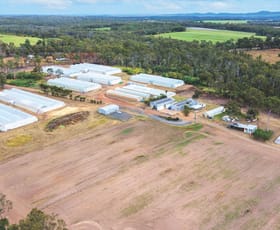 Rural / Farming commercial property sold at 2034 Rosedale Road Bundaberg Central QLD 4670