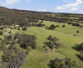 Rural / Farming commercial property sold at 296 Sawpit Gully Road Bridge Creek VIC 3723
