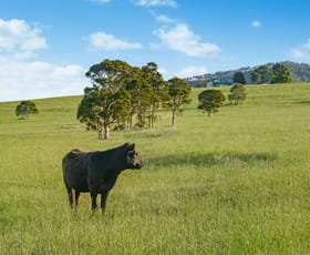 Rural / Farming commercial property sold at 190 Coolangatta Road Berry NSW 2535