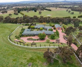 Rural / Farming commercial property sold at 90 Back Creek Road High Camp VIC 3764