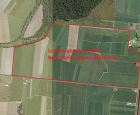 Rural / Farming commercial property sold at 49339 Bruce Highway Toobanna QLD 4850