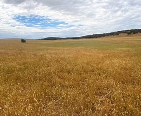 Rural / Farming commercial property sold at 737 Blackett Road Parrakie SA 5301