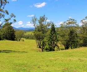 Rural / Farming commercial property sold at 4753 Kyogle Road Wadeville NSW 2474