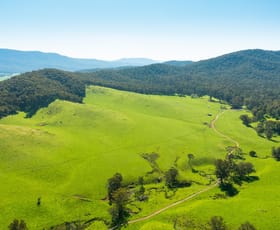Rural / Farming commercial property sold at 'The Selection' Rousseaus Road Tallangatta Valley VIC 3701