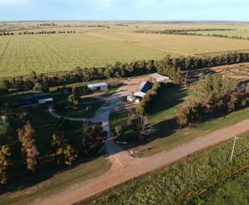 Rural / Farming commercial property sold at Far 308/'Bundara' McLarty Road Coleambally NSW 2707