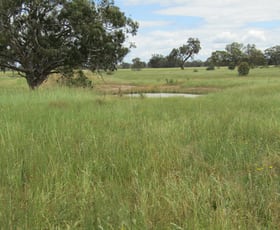 Rural / Farming commercial property sold at 00 RESEARCH STATION LANE Rutherglen VIC 3685