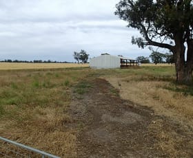 Rural / Farming commercial property sold at 1 Humeden Road Collendina NSW 2646