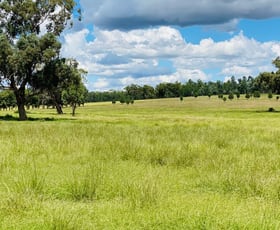 Rural / Farming commercial property sold at 233 Walhallow Road Caroona NSW 2343
