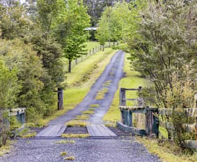 Rural / Farming commercial property sold at 1710 Eastern Dorrigo Way Ulong NSW 2450