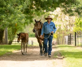 Rural / Farming commercial property sold at 2167 KIEWA VALLEY HWY Kergunyah VIC 3691