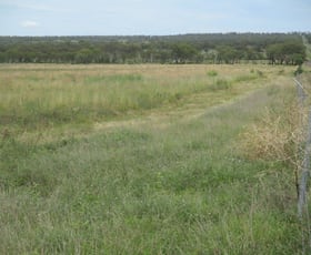 Rural / Farming commercial property sold at AUCTION - 275 ACRES GRAZING COUNTRY Kaimkillenbun QLD 4406