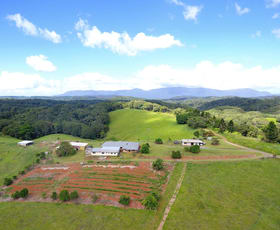 Rural / Farming commercial property for sale at 343 Gadaloff Road Butchers Creek QLD 4885