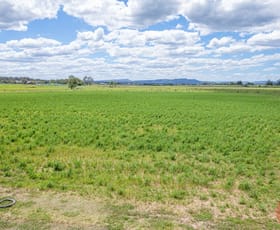Rural / Farming commercial property sold at 480 Phoenix Park Road Largs NSW 2320