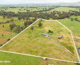 Rural / Farming commercial property sold at 499 Culcairn Holbrook Road Holbrook NSW 2644