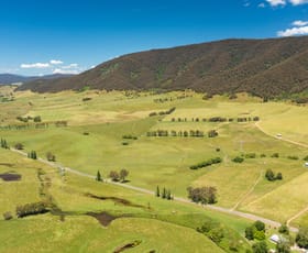 Rural / Farming commercial property sold at Omeo Highway Tallangatta South VIC 3701