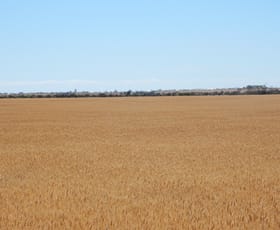 Rural / Farming commercial property sold at Section 916 Spencer Highway Wallaroo SA 5556