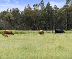 Rural / Farming commercial property sold at 36 Clark Lane Stanthorpe QLD 4380