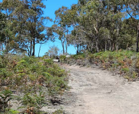 Rural / Farming commercial property for sale at 161 Levendale Back Road Levendale TAS 7120