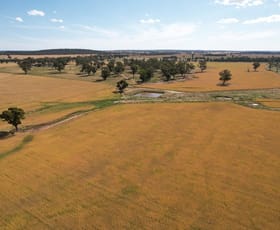Rural / Farming commercial property for sale at 1610 Goldfields Way Temora NSW 2666
