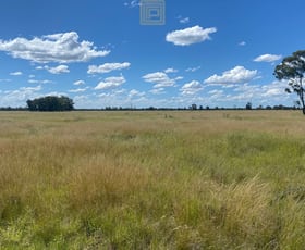 Rural / Farming commercial property sold at 1688 Forest Way Wee Waa NSW 2388 Rural / Farming commercial property sold at 1688 Forest Way Wee Waa NSW 2388