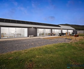 Rural / Farming commercial property sold at 19 Ditchfields Road Raglan VIC 3373