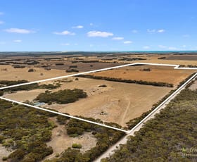 Rural / Farming commercial property sold at 467 Point Annie Road Corny Point SA 5575