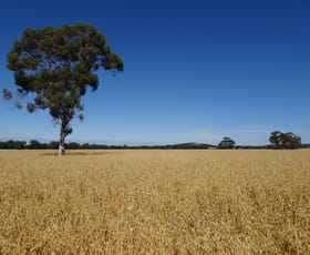 Rural / Farming commercial property sold at Lot 11 Yilliminning Road Boundain WA 6312