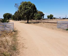 Rural / Farming commercial property sold at "Lucindale/6541 Wakool Road Wakool NSW 2710