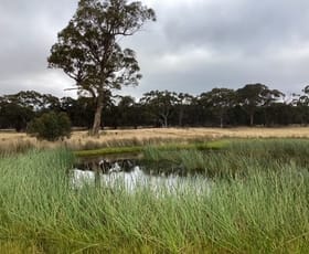 Rural / Farming commercial property for sale at Lot 2 Eurambeen-Raglan Road Beaufort VIC 3373