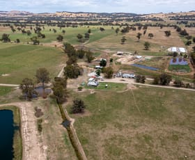 Rural / Farming commercial property sold at 185 Soldiers Lane Laceby VIC 3678