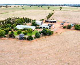Rural / Farming commercial property for sale at 893 Deaths Lane Grenfell NSW 2810