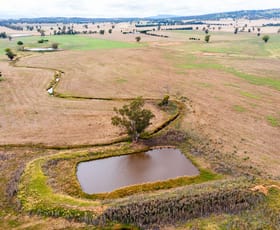 Rural / Farming commercial property for sale at 893 Deaths Lane Grenfell NSW 2810