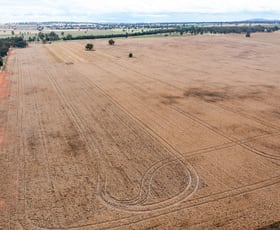 Rural / Farming commercial property for sale at 893 Deaths Lane Grenfell NSW 2810