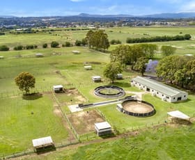 Rural / Farming commercial property sold at 97 Lupton Road Beaudesert QLD 4285