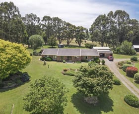 Rural / Farming commercial property sold at 1150 Timboon-Nullawarre Road Brucknell VIC 3268