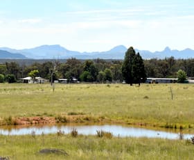 Rural / Farming commercial property for sale at 242 Jenkins Rd Bearbong NSW 2827