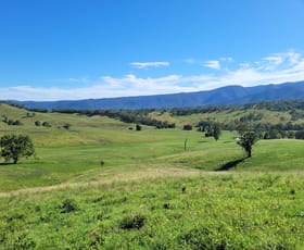 Rural / Farming commercial property for sale at 552 Neringla Road Neringla NSW 2622