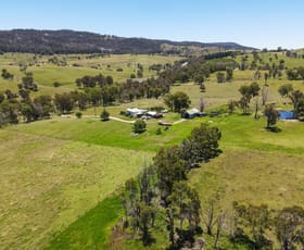 Rural / Farming commercial property for sale at 8038 New England Highway Tenterfield NSW 2372