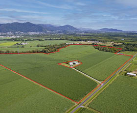 Rural / Farming commercial property for sale at 1 Hill Road Wrights Creek QLD 4869