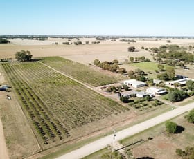 Rural / Farming commercial property sold at 38 Ferris Street Bearii VIC 3641
