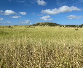 Rural / Farming commercial property sold at 2081 RED RANGE ROAD Cockatoo QLD 4419