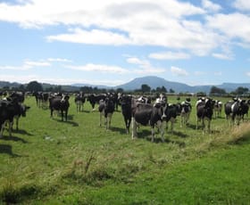 Rural / Farming commercial property sold at 357 Dairy Plains Road Deloraine TAS 7304