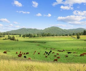 Rural / Farming commercial property sold at Lot 3 Windermere Road Lochinvar NSW 2321