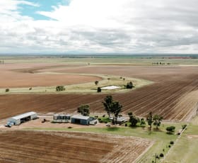 Rural / Farming commercial property sold at Dalby QLD 4405