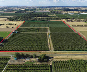 Rural / Farming commercial property for sale at 527 South Boundary Road Kyabram VIC 3620